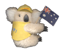 koala_australia